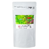 エフィッシュ グランパワー 底土内の固形栄養剤 150mL GP-150P 水草用 173454 1個（直送品）