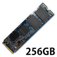 磁気研究所 M.2 2280 SSD (PCIe Gen 3.0 x2) 256GB PHM2-256GB 1個