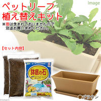 ペットリーフ植え替えキット　ブラウン  2250002011667 1個（直送品）