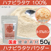 リーフ 国産 ハナビラタケパウダー ハナビラタケ１００％ 犬猫用おやつ  212067 1個（直送品）