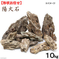 [t `󂨔C zΐ 10kg 2250002150076 1iij