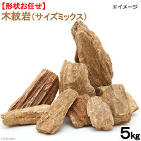[t `󂨔C ؖ TCY~bNX 2250002165148 1iij