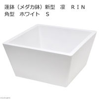 リーフ 睡蓮鉢（メダカ鉢）　新型　凛　ＲＩＮ　角型 2250002309887 1個（直送品）