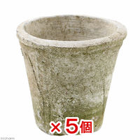 リーフ　アンティークポット　直径１３×１３ｃｍ　白　モスポット　トール　2250002341955　1セット(5個)（直送品）