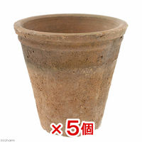 リーフ　アンティークポット　直径１３×１３ｃｍ　赤　モスポット　トール　2250002341948　1セット(5個)（直送品）