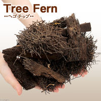 リーフ ヘゴチップ(1袋) 2250003611484 1個（直送品）