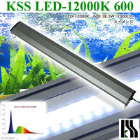 興和 KSS LED