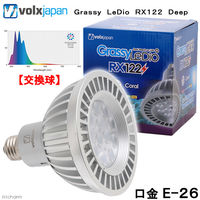 ボルクスジャパン Grassy LeDio Coral/コーラル 4560381572573 1個（直送品）