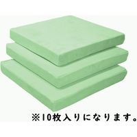 クリエイトアルファ レインボーシリーズ　スーパーハード低反発クッション　１０枚SET 761123-10-GN 1セット（直送品）