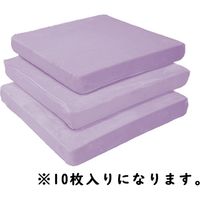 クリエイトアルファ レインボーシリーズ　スーパーハード低反発クッション　１０枚SET 761130-10-PP 1セット（直送品）