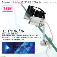 マメデザイン マメミニライト １０Ｗ ＲＢ（ロイヤルブルー）（ｍａｍｅ ｍｉｎｉ-ｌｉｇｈｔ） 174435 1個（直送品）