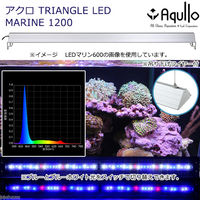 Aqullo TRIANGLE LED