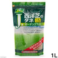 カネコ種苗 西洋芝のタネ　Ｊガーデングラス 4971852075033 1個（直送品）