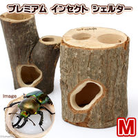 木製昆虫シェルター フジコン プレミアム インセクトシェルター M 40645 1個（直送品