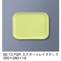 三信化工 エスタートレイ スナック SE-13-FGR 1枚（直送品）