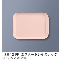 三信化工 エスタートレイ スナック SE-13-FP 1枚（直送品）