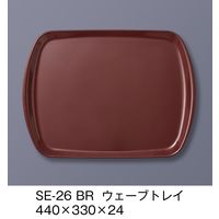 三信化工 エスタートレイ　ウェーブトレイ　SE-26-BR　1セット（5枚入）（直送品）