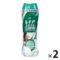 【アウトレット】P&G レノア本格消臭 部屋干しDXデオドラントビーズ グリーンフレッシュハーブの香り 本体 520ml 1セット(2個：1個×2)