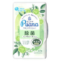 ウェットティッシュ 除菌シート 除菌ノンアルコール 本体 1パック（47枚入） エリエール ピュアナ（Puana） 大王製紙