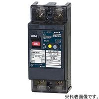 テンパール工業 経済タイプ漏電遮断器 32EC2030 1個（直送品）