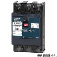 テンパール工業 経済タイプ配線用遮断器 B33EC15 1個（直送品）