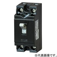 テンパール工業 安全ブレーカ BC1HEA15 1個（直送品）