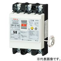 テンパール工業 漏電遮断器 欠相保護付 U5301HEC3030 1個（直送品）