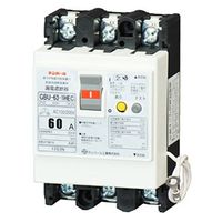 テンパール工業 漏電遮断器 欠相保護付 U6301HEC6030 1個（直送品）