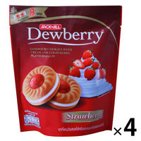 【アウトレット】デューベリー ストロベリー味クッキー 144g 1セット（4袋）