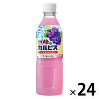 アサヒ飲料 巨峰＆「カルピス」 500ml 1箱（24本入）