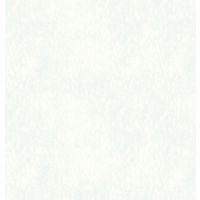 【建築資材・浴室用床シート】フクビ化学工業 樹脂化粧パネル アルパレージ 910mm×2450mm　NF AP2NF 1梱包（2枚入）（直送品）