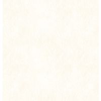 【建築資材・浴室用床シート】フクビ化学工業 樹脂化粧パネル アルパレージ 910mm×2450mm　NE AP2NE 1梱包（2枚入）（直送品）