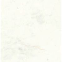 【建築資材・浴室用床シート】フクビ化学工業 樹脂化粧パネル アルパレージ 910mm×2450mm　SJ AP2SJ 1梱包（2枚入）（直送品）