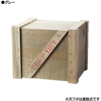 ダンデライオン　B梱包BOX　(LL)　グレー　119-10143　1台（直送品）