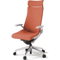 【組立設置込】イトーキ アクトチェア EXハイバック 布張 ランバー付 固定肘 アルミ脚 ナイロンキャスター ハンガー付 灰×パーシモンオレンジ 1脚（直送品）