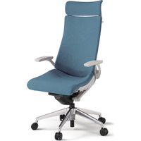 【組立設置込】イトーキ アクトチェア EXハイバック 布張 ランバー付 固定肘 アルミ脚 ナイロンキャスター ハンガー付 灰×ダックブルー 1脚（直送品）