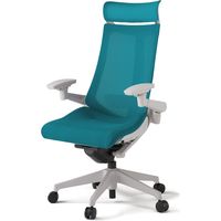 【組立設置込】イトーキ アクトチェア EXハイバック メッシュ ランバー付 可動肘 樹脂脚 ウレタンキャスター ハンガー無 灰×ストロングブルー 1脚（直送品）
