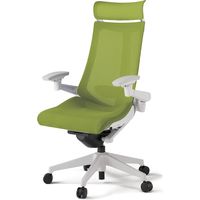 【組立設置込】イトーキ アクトチェア EXハイバック メッシュ ランバー付 可動肘 樹脂脚 ウレタンキャスター ハンガー無 白×モスグリーン 1脚（直送品）