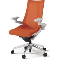 【設置込】イトーキ アクトチェア ハイバック メッシュ ランバー無 可動肘 アルミ脚 ナイロンキャスター ハンガー無 灰×アンバーオレンジ 1脚（直送品）
