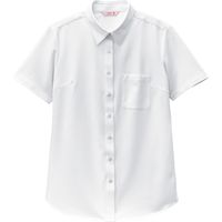 ボストン商会 ニットシャツ（半袖） ホワイト 23243-81