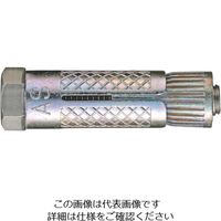 サンコーテクノ サンコー テクノ オールプラグボルトASタイプ亜鉛合金ダイカストステンレスボルト AS-845S 1セット(30本)（直送品）