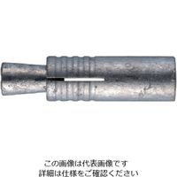 サンコーテクノ サンコー テクノ グリップアンカーGA―Dタイプ溶融亜鉛めっき M10 GA-10MD 1セット(100本) 558-1460（直送品）