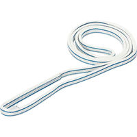 東レインターナショナル シライ ポリエステルスリング エンドレス形 幅75mm 長さ3.0m PET3N-75X3.00 817-0366（直送品）