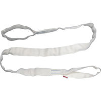 東レインターナショナル シライ 耐熱用マルチスリング TFE形 両端アイ形 2.0t 長さ2.5m TFE-2X2.5 817-0704（直送品）