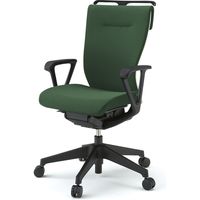 【設置込】イトーキ コセールチェア ハイバック ループ肘付 ハンガー付 樹脂脚 IVグリーン×ホワイト×IVグリーン 1脚（直送品）