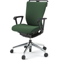 【設置込】イトーキ コセールチェア ローバック ループ肘付 ハンガー付 アルミ脚 IVグリーン×ホワイト×IVグリーン 1脚（直送品）