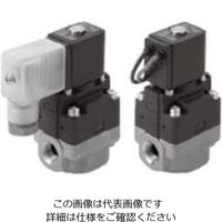 CKD 水用小形パイロット式電磁弁 FWD11-15G-02C-AC100V 1個（直送品）