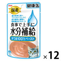 健康缶 水分補給 かつおペースト 40g 12袋 国産 キャットフード 猫 ウェット パウチ