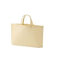 アズワン 不織布バッグ 底マチA4横 ベージュ 63-1290-47 1箱(100枚)（直送品）