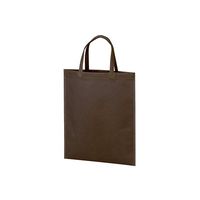 アズワン 不織布バッグ A4マチ無 ダークブラウン 63-1290-14 1箱(100枚)（直送品）